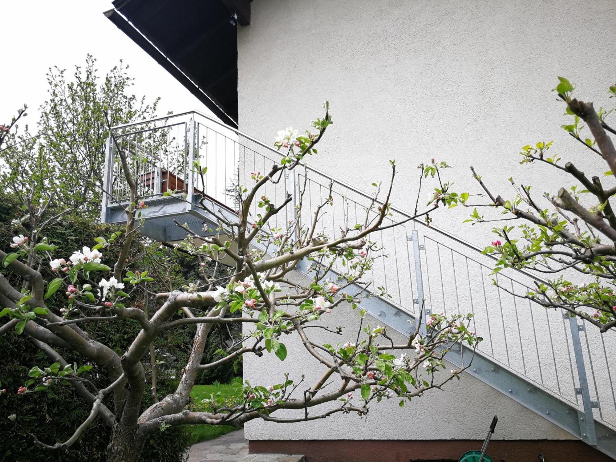Angi'S Apartment ザンクト・ローレンツェン・オプ・ムーラウ 部屋 写真